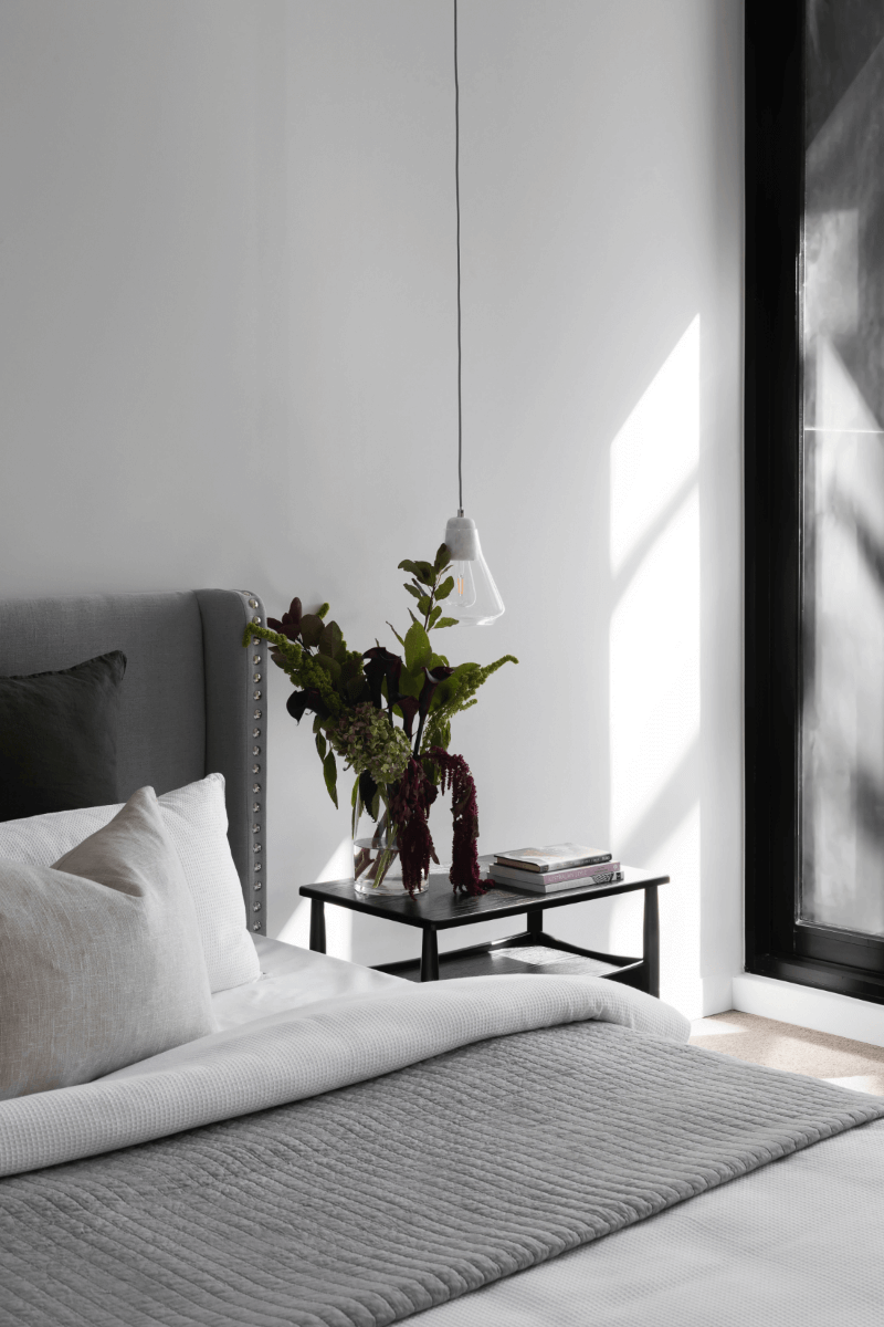 Cozy bed, plant, and lamp in suite.