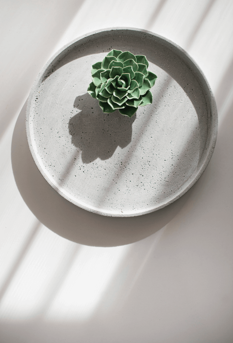 Elegant decorative plant on villa plate.