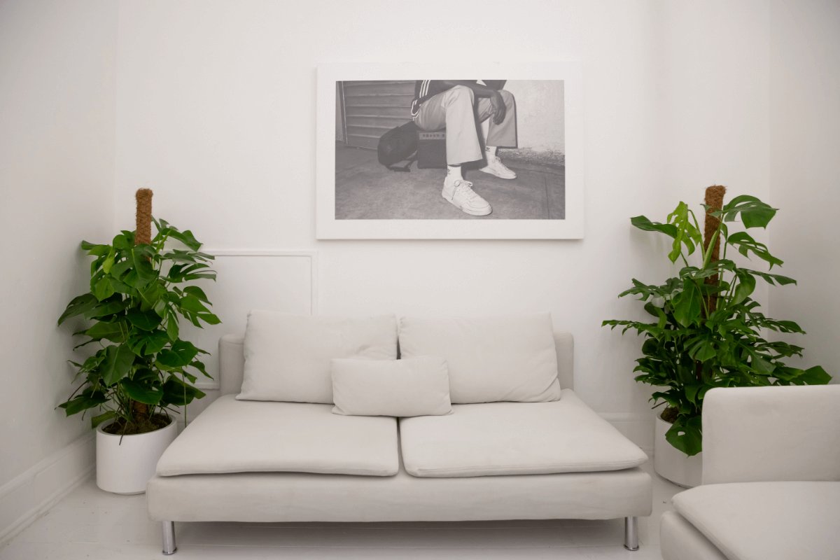 White sofa, plants, photo in villa.